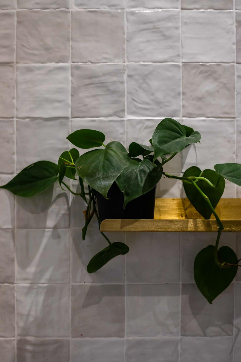 The Brass Shelf - Acre Studio
