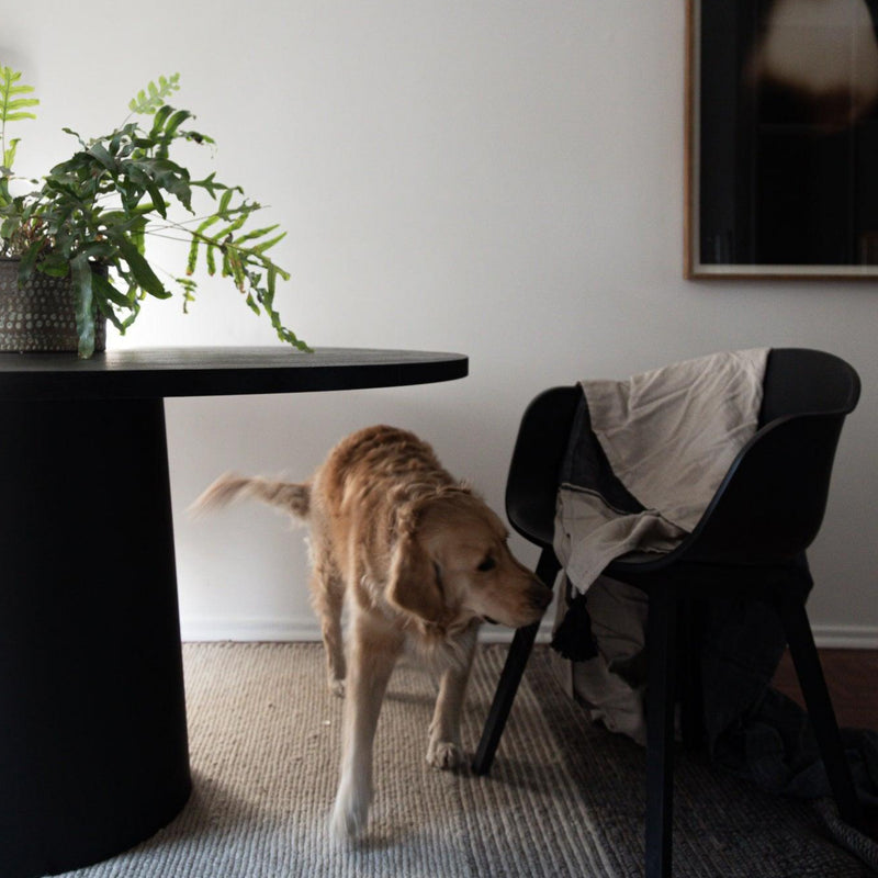 The Roller Table - Acre Studio